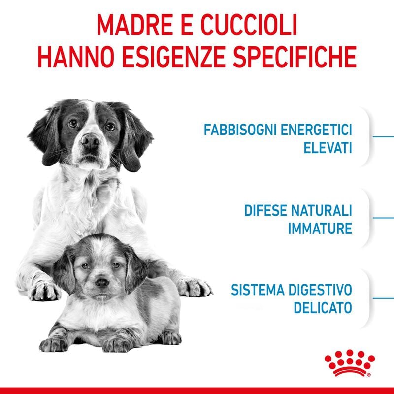 Royal Canin Dog Medium Starter Mother & Babydog 4 kg