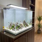 Askoll decorazione per acquari e terrari Teschio di Drago