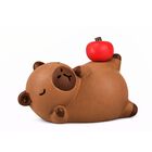 Leo Pet Capibara Mistery Box