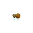 Forza 10 Active Vet Diet Renal per Gatti Adulti al Pesce 1,5 kg