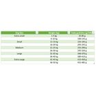 Fish4dogs Finest Dog Adult Large Salmone 12 kg