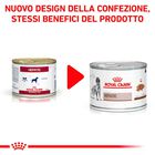 Royal Canin Veterinary Diet Dog Hepatic 420 gr