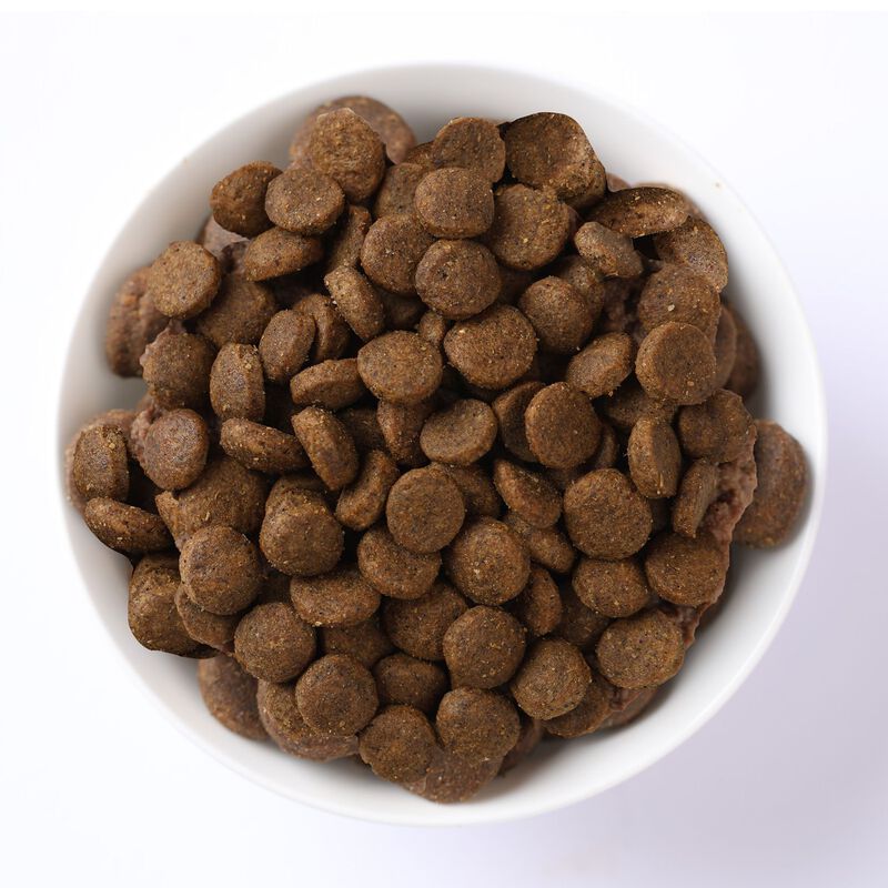 N&D Farmina Ocean Cat Adult Aringa & Arancia 1,5 kg