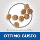 Hill's Science Plan Dog Light Small & Mini Adult al Pollo 1,5 kg