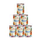 Terra Canis Dog menu flower Fiori Alpini Manzo con patate, albicocche ed erbe di montagna 400 gr