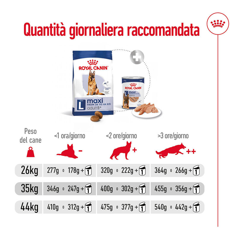 Royal Canin Dog Maxi 5+ Senior 15 kg