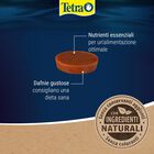 Tetra Goldfish Holiday 2 pz x 12 gr