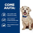 Hill's Prescription Diet Dog w/d Diabetes Care con Pollo 10 kg