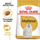 Royal Canin Dog Adult Maltese 500 gr