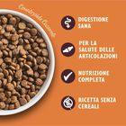 Lily's Kitchen Dog Adult Small Countryside Casserole con Pollo Anatra e Patata Dolce 2,5 kg