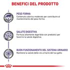 Royal Canin Expert Cat Adult Neutered Balance 85x12 pz - Scad 30 Settembre 26