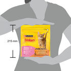 Friskies Cat Junior con Pollo, Tacchino con Latte e Verdure 375 gr