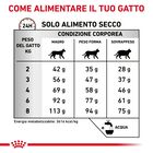 Royal Canin Veterinary Diet Cat Adult Gastrointestinal Hairball 400 gr