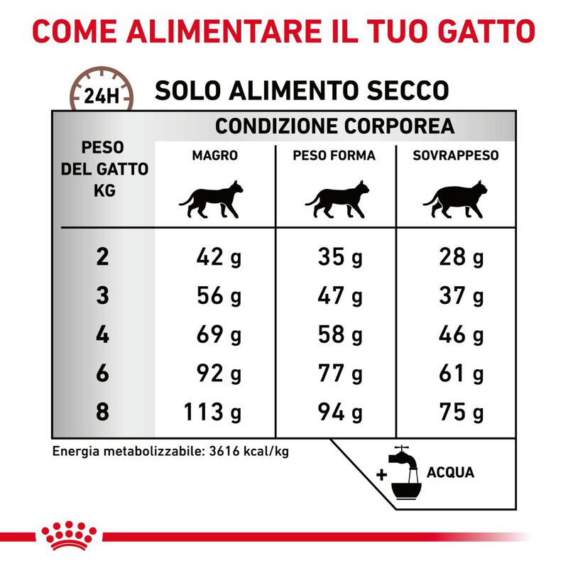 Royal Canin Veterinary Diet Cat Adult Gastrointestinal Hairball 400 gr