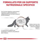 Royal Canin Veterinary Diet Cat Gastrointestinal 400 gr