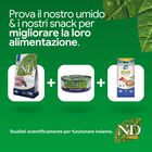 N&D Farmina Prime Cat Adult Agnello & Mirtillo 300 gr
