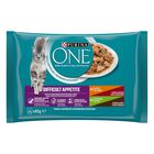 Purina One Cat Appetito Difficile Filettini in Salsa 4 pz x 85 gr