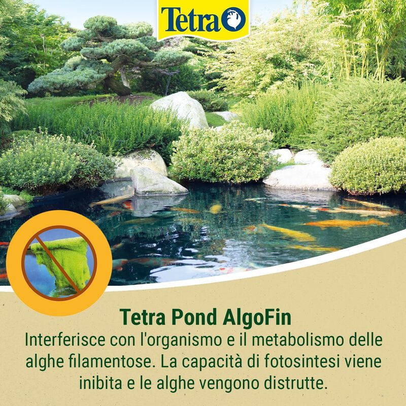 Tetra Pond AlgoFin 250 ml
