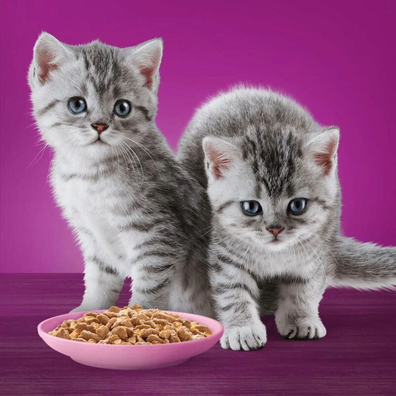Whiskas Kitten Pranzetti in Salsa con Pollo 6 x 50 gr