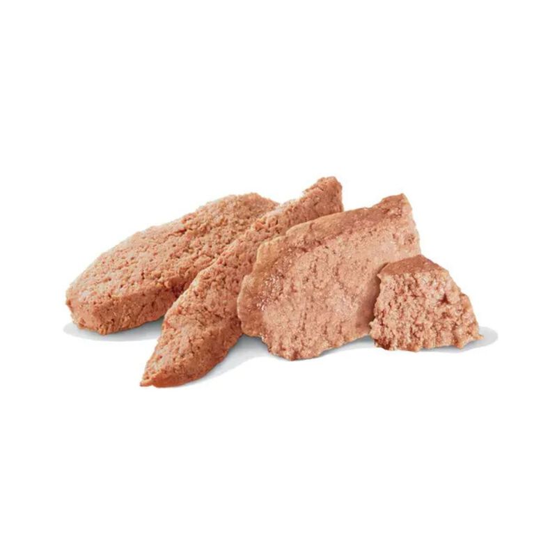 Royal Canin Veterinary Diet Dog Adult Gastrointestinal 200 gr