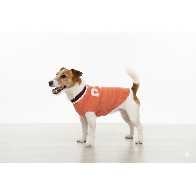 Camon Maglioncino per cani Chelsea tg. 30