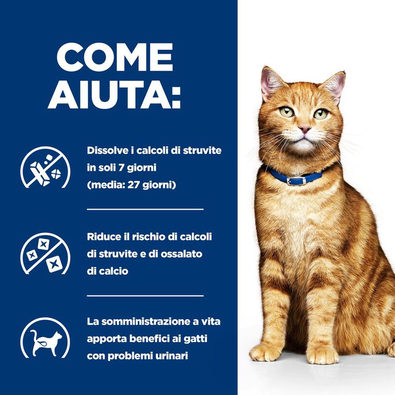 Hill's Prescription Diet Cat c/d Multicare Urinary Care con Salmone 85 gr