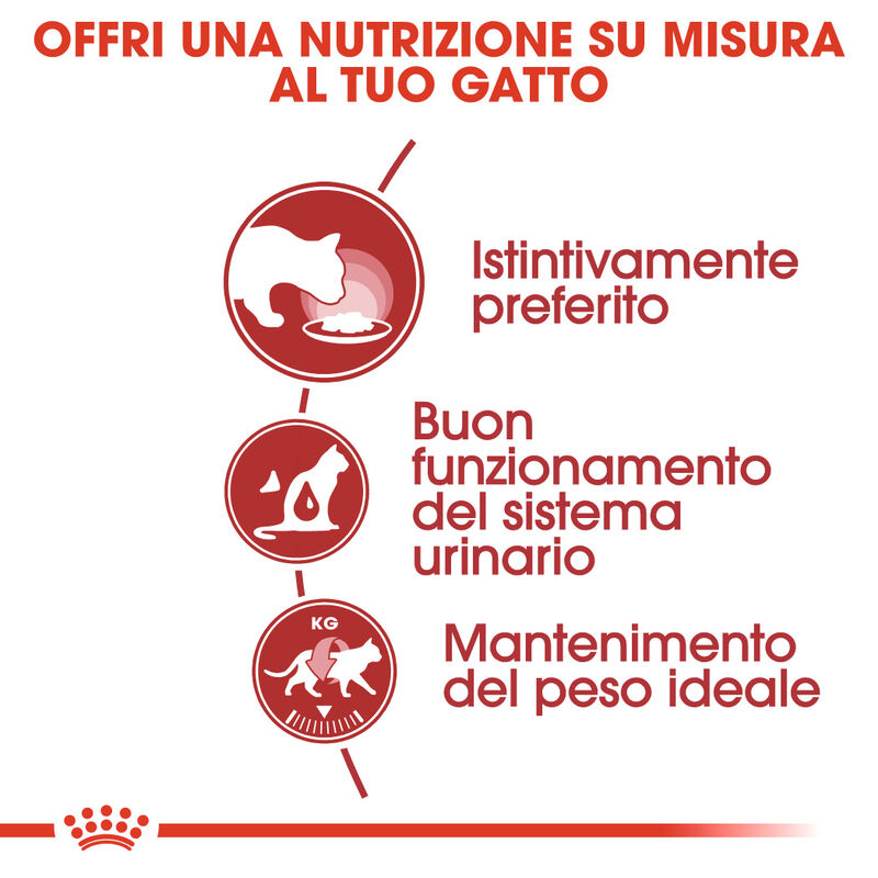 Royal Canin Cat Adult Instinctive Gravy 85gr