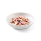 Schesir Cat Tonnetto con Nasello 70 gr