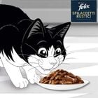 Felix Cat Sfilaccetti Rustici Manzo Pollo Anatra e tacchino 44 pz x 80 gr
