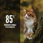 Orijen Gatto Adulto Regional Red 340 gr