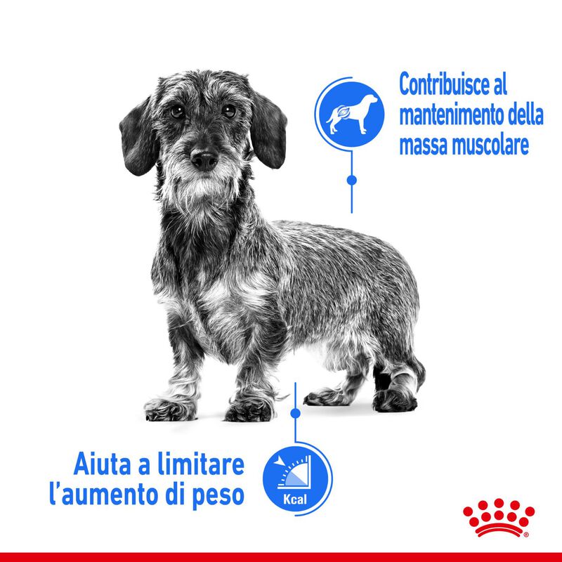 Royal Canin Dog Adult e Senior Mini light weight care 3 kg