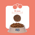 Monopro Dog All breeds Salmone 1,5 kg