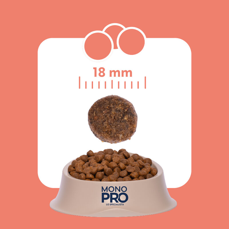 Monopro Dog All breeds Salmone 1,5 kg