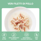 Schesir cat Filetti di Pollo, Manzo e Riso 70gr