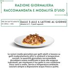 Gourmet Nature's Creations Cat Adult con Tacchino, spinaci e pastinaca 85 gr