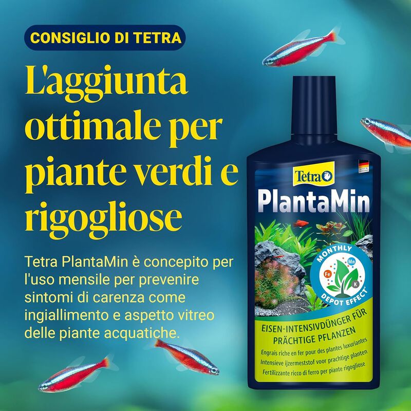 Tetra CompleteSubstrate 2,5 kg