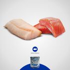 Farmina N&D Ocean Dog Adult Salmone e Merluzzo 285 gr