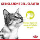 Royal Canin Cat Adult Sensory Smell Salsa 85 gr