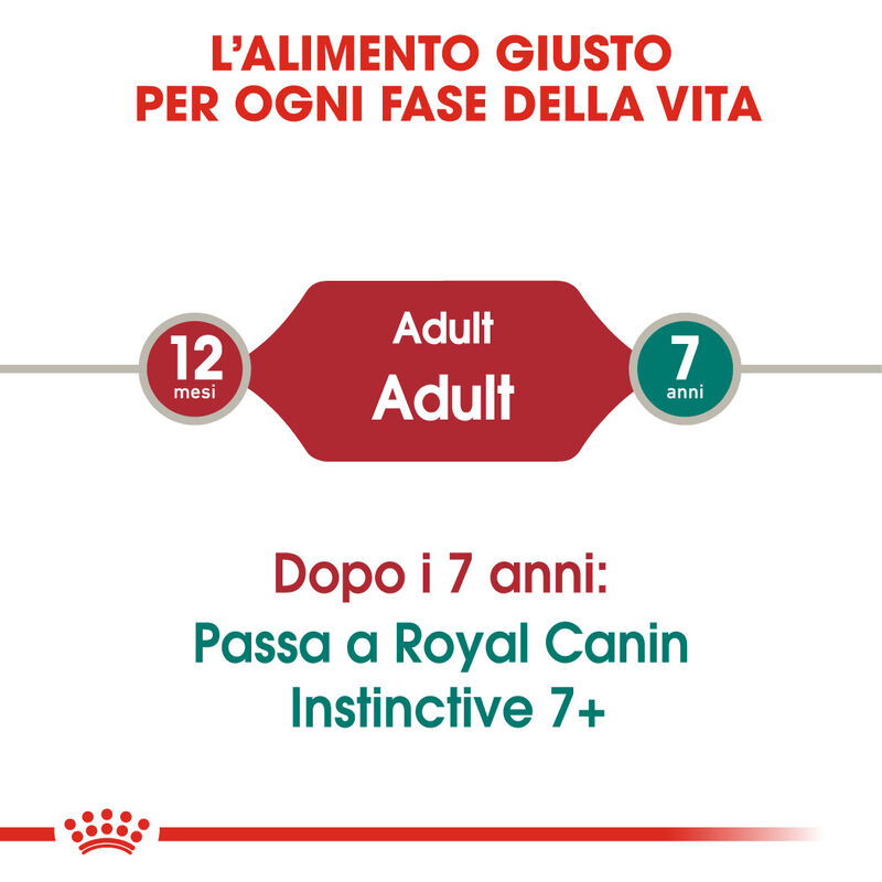 Royal Canin Cat Adult Instinctive Gravy 85gr