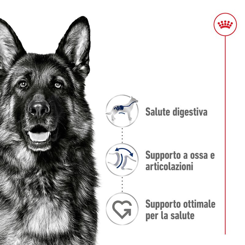 Royal Canin Dog Maxi Adult 4 kg 