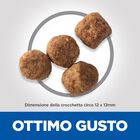 Hill's Science Plan Dog Medium Mature Adult 7+ al Pollo 14 kg