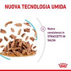 Royal Canin Cat Adult Sensory Feel Salsa 85 gr
