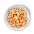 Terra Felis Famousse Cat Adult Salmone 80 gr