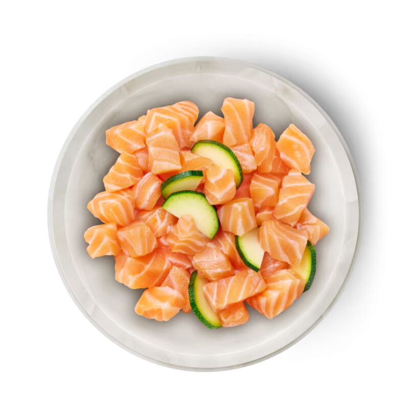 Terra Felis Famousse Cat Adult Salmone 80 gr