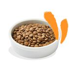 Edgard & Cooper Cat Adult al Pollo 4 kg