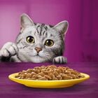 Whiskas Pranzetti Carni Bianche in Salsa con Pollo e Tacchino 6 x 50 gr