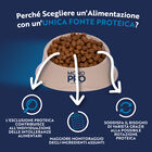 Monopro Dog Adult Mini Grain free Maiale 2 kg