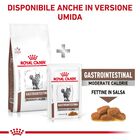 Royal Canin Veterinary Diet Cat Gastrointestinal Moderate Calorie 2 kg