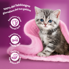 Whiskas Junior croccantini con Pollo 300 gr