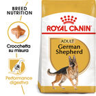 Royal Canin Dog Adult e Senior German Shepherd 3 kg